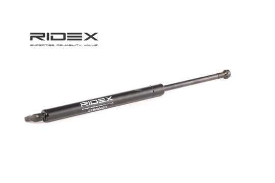 RIDEX Takaluukun Kaasujousi BMW 219G0033 51248159239,51248222913 Kaasujousi, Tavaratila