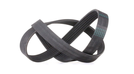 CONTITECH Moniurahihna VW,AUDI,BMW 6PK1005 55193366,551933660,04E145933AG 04E145933AL,04E145933P,04E145933R,11287618848,7618848,51761849,55193366