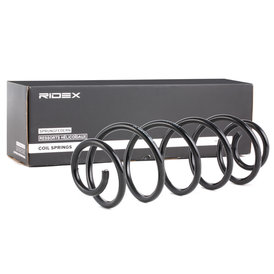 RIDEX Jousi CITROËN 188C0066 5102G4,5102G4 Kierrejousi