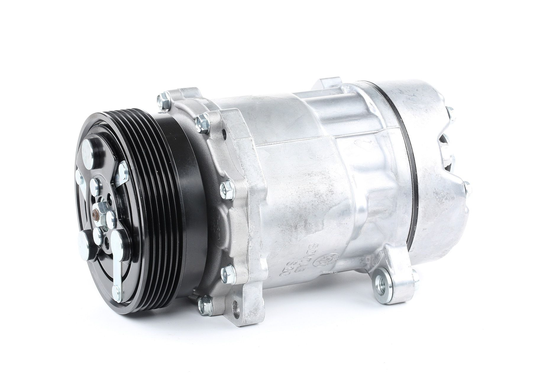 RIDEX Ilmastoinnin Kompressori VW,FORD,SEAT 447K0108 1067110,1067111,1H0820803D AC Kompressori,Kompressori, Ilmastointilaite 1H0820803DX,1H0820805D
