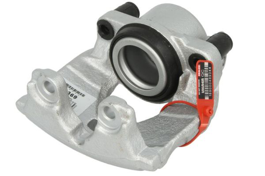 Jarrusatula LAUBER 77.3369