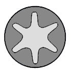 Sylinterikannen pulttisarja, ford, 1 073 369 (10x), 6 558 046 (10x), 88WM 6065 CB (10x)