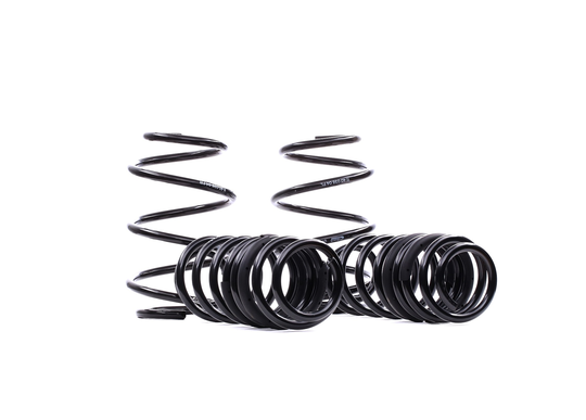 EIBACH Madallusjouset HONDA E10-40-036-04-22 Alustasarja Jouset