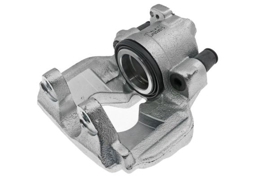 Jarrusatula LAUBER 77.2642