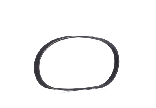 RIDEX Moniurahihna FIAT,TOYOTA,HONDA 305P0009 11282245179,25183062,96444475 25183062,96444475,9004831012,9004831012000,9004831013,9004831013000