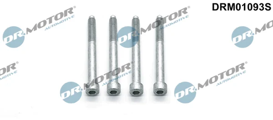 Ruuvi ruiskutussuutinpidike Dr.Motor Automotive DRM01093S