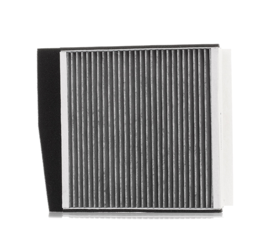 RIDEX Raitisilmasuodatin VOLVO 424I0088 30630754,30630755,30676413 Sisäilmansuodatin,Suodatin, Sisäilma 9171756