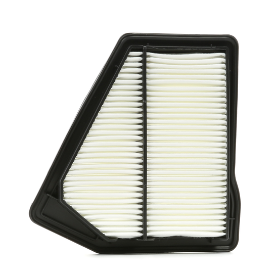 RIDEX Ilmansuodatin HONDA 8A0494 17220RFWG01
