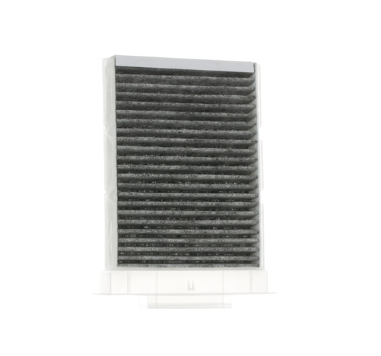 RIDEX Raitisilmasuodatin PEUGEOT,TOYOTA,CITROËN 424I0252 6447TV,6479A5,6447TT Sisäilmansuodatin,Suodatin, Sisäilma 885080H010