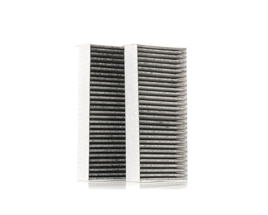 RIDEX Raitisilmasuodatin BMW,MINI 424I0431 64116823725,64116823726,64119321875 Sisäilmansuodatin,Suodatin, Sisäilma 64316823716,64316835405,6823725
