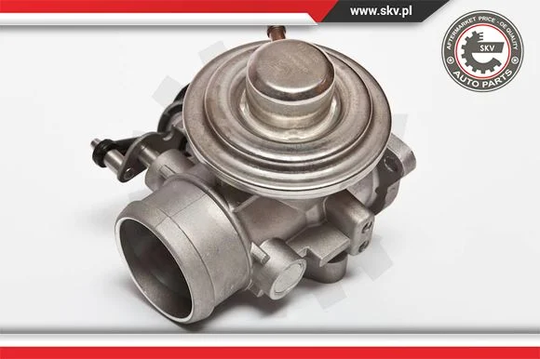 EGR-venttiili ESEN SKV 14SKV020
