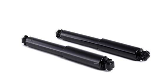 RIDEX Iskunvaimentimet VW,MERCEDES-BENZ 854S0055 2D0513029,2D0513029A,2D0513029B Iskarit,Iskunvaimennin 2D0513029D,2D0513029E,2D0513029F,2D0513029G