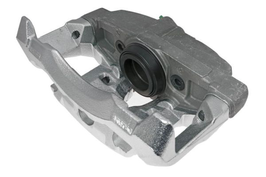Jarrusatula LAUBER 77.3816