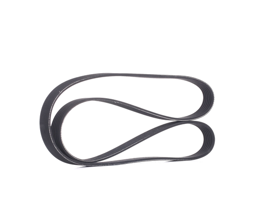 RIDEX Moniurahihna FIAT,PEUGEOT,CITROËN 305P0136 5750GJ,5750GP,5750S6 5750X6,96267902,96455832,9645583280,46520499,51758124,6000625282,71743889