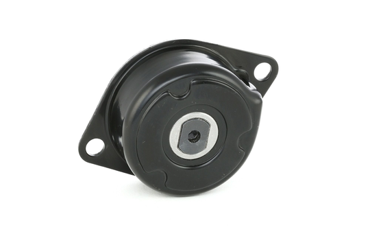 RIDEX Kiristinvarsi, Moniurahihna VW,AUDI,FORD 540T0005 028903315N,028903315R,1039808 95VW10145DA