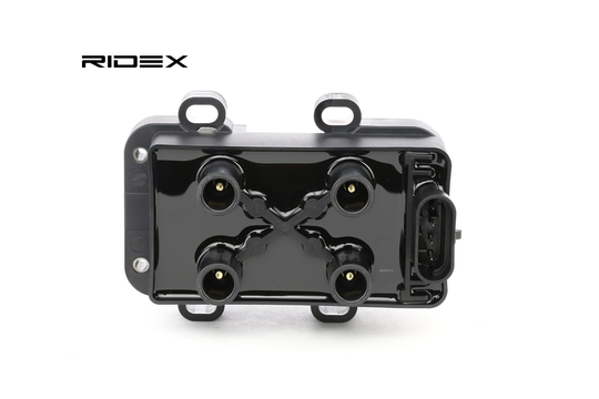 RIDEX Sytytyspuola RENAULT,MAZDA,DACIA 689C0232 224336134R,6001543604,2244800QAC 224336134R,7700274008