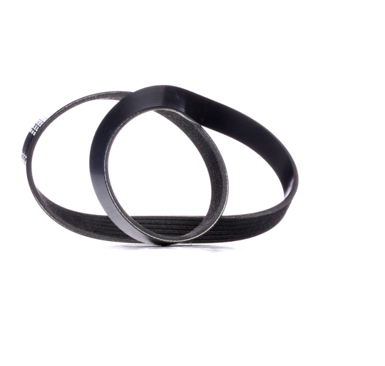 RIDEX Moniurahihna VW,AUDI,RENAULT 305P0049 038903137,038903137G,06F903137E 38903137,38903137G,6F903137E,5750RG,5750RG,11287534399,11287566789,5750RG
