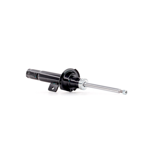 RIDEX Iskunvaimentimet PEUGEOT 854S0697 319730197,5202L0,5202L1 Iskarit,Iskunvaimennin 5202L4,5202Q7,5202Q8,5202X8,5202X9,5202Z4,5202Z5