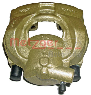 Jarrusatula METZGER 6251060
