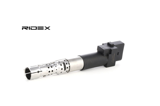 RIDEX Sytytyspuola VW,AUDI,FORD 689C0148 022905100B,022905100H,022905100L 022905100P,022905100S,022905100T,022905715,022905715A,22905100B,22905100H