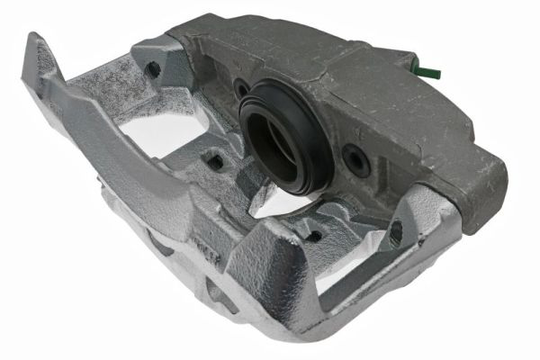 Jarrusatula LAUBER 77.3817