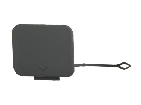 Suojakansi, vetokoukku BLIC 5513-00-0065971P