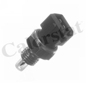 Tunnistin, imuilman lämpötila, alfa romeo,honda,land rover,mg,rover,vw, 024905379-6, 040906161-4, 046905379, 1315659, 13621711371, 16241