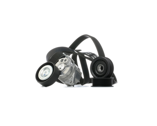 RIDEX Moniurahihnasarja MERCEDES-BENZ 542R1031