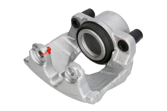 Jarrusatula LAUBER 77.3368