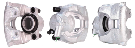 Jarrusatula DRI 3263510