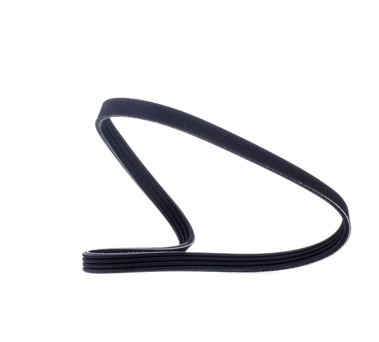 RIDEX Moniurahihna BMW,FORD,FIAT 305P0015 11287512762,11287512971,128025 128027,5750V0,5750XV,46451652,46542303,7743660,7799581,7007791,V94BF6C301BA