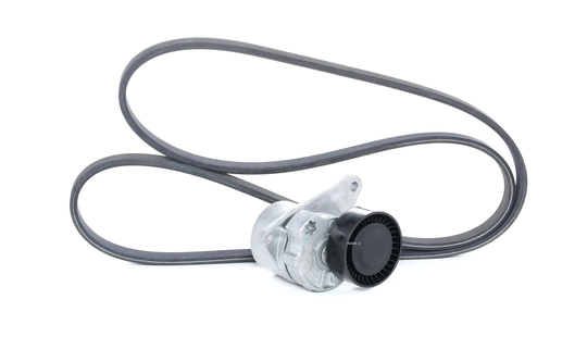 RIDEX Moniurahihnasarja VOLVO 542R0009