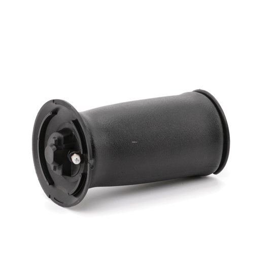 RIDEX Ilmajousi, Jousitus BMW 4119A0028 37126765602,37126765603,6765602