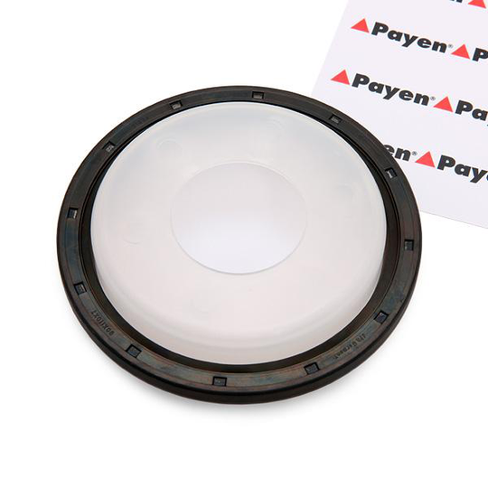 PAYEN Kampiakselin Tiiviste OPEL,FORD,FIAT NA5192 9645863280,9400127459,1350607 Akselitiiviste, Kampiakseli 3M5Q6700BC,012745,9645863280,30757227
