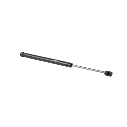 RIDEX Takaluukun Kaasujousi RENAULT,DACIA 219G0690 904520004R,904520004R Kaasujousi, Tavaratila