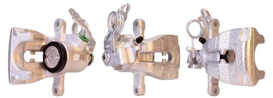 Jarrusatula DRI 4289410