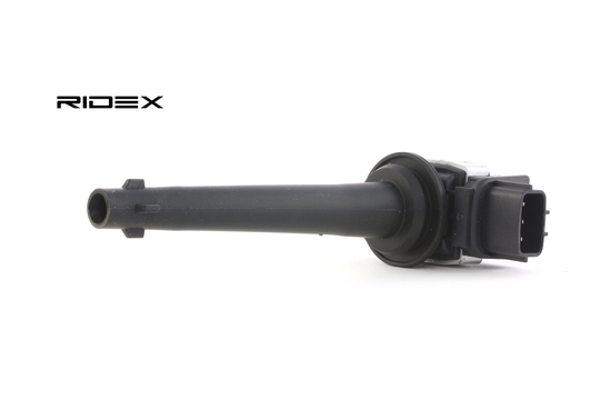 RIDEX Sytytyspuola RENAULT,NISSAN 689C0106 22448ED800,22448ED800EP,22448ED80A 7701065086