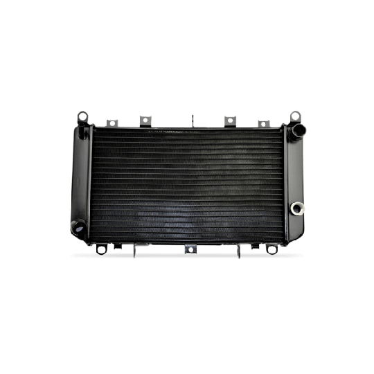 PRASCO Jäähdytin OPEL,FIAT,ALFA ROMEO AA210R006 51808364,51896964,55700617 Syyläri,Jäähdytin,Moottorin Jäähdytys 55704135,51896964,55704135,51808364