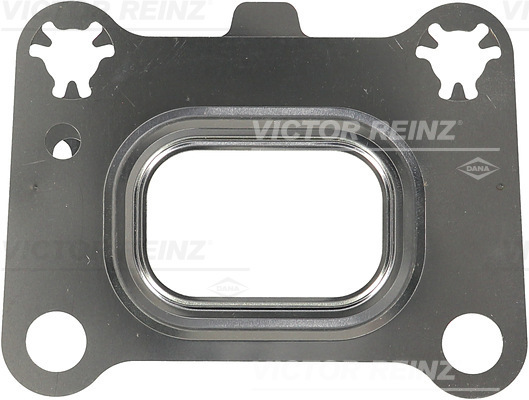 Tiiviste, pakosarja REINZ 71-11025-00