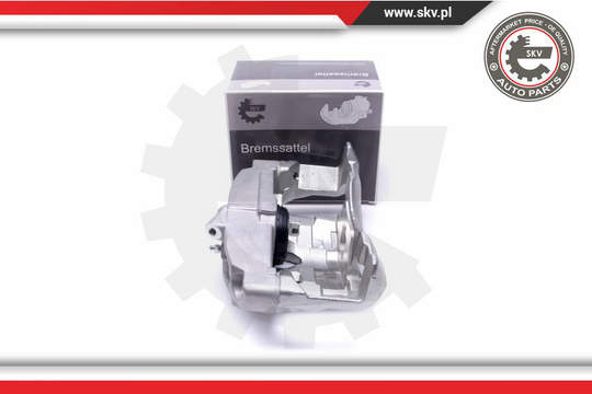 Jarrusatula ESEN SKV 55SKV781
