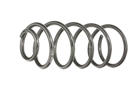 RIDEX Jousi VW 188C0160 1H9411105G,1J0411105AF,357411105AA Kierrejousi 357411105AB
