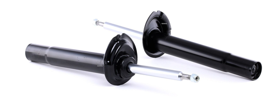 RIDEX Iskunvaimentimet BMW 854S1604 1091921,1093644,1093844 Iskarit,Iskunvaimennin 1094041,1094042,1095083,1096857,1096858,1096861,1096862,1096865