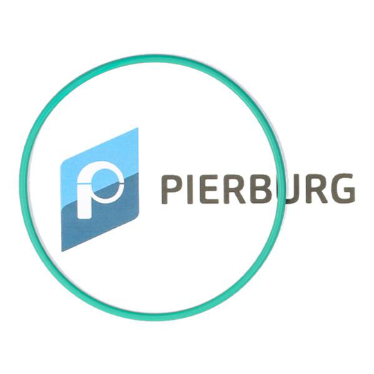 PIERBURG Tiiviste, Tankin Anturi FIAT,PEUGEOT,CITROËN 3.32038.01.0 153124,153124
