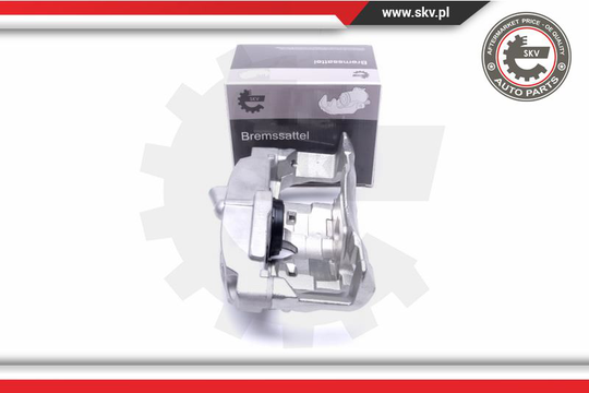 Jarrusatula ESEN SKV 55SKV782