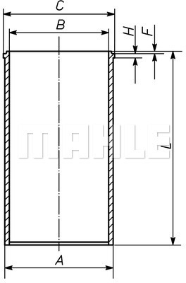 Sylinteriputki MAHLE ORIGINAL 029 WV 20 00